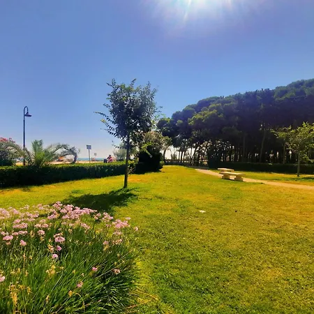 Il Timone Bilo - Myho Casa *