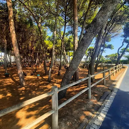 Lejlighed Il Timone Bilo - Myho Casa *