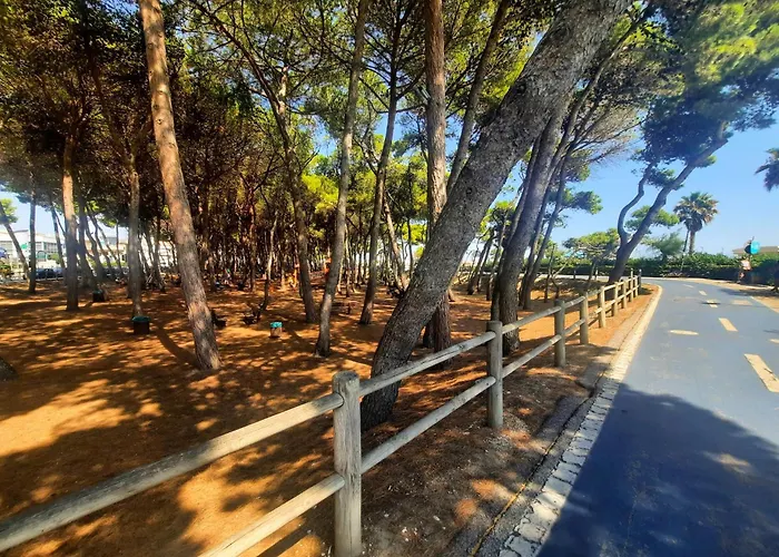 Lejlighed Il Timone Bilo - Myho Casa *